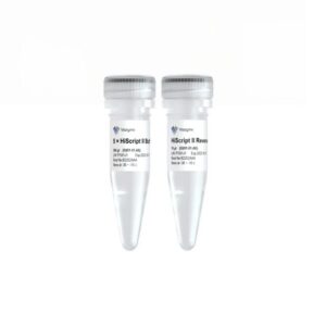 Vazyme HiScript II Reverse Transcriptase (R201)