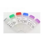 Vazyme HiScript III 1st Strand cDNA Synthesis Kit (+gDNA wiper) (R312)