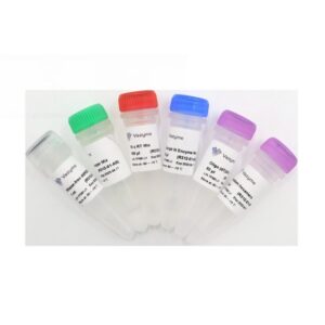 Vazyme HiScript III 1st Strand cDNA Synthesis Kit (+gDNA wiper) (R312)