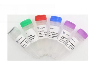 Vazyme HiScript III 1st Strand cDNA Synthesis Kit (+gDNA wiper) (R312)