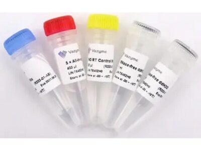 Vazyme HiScript III All-in-one RT SuperMix Perfect for qPCR (R333-01)