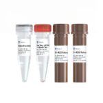 Vazyme HiScript III One Step qRT-PCR Probe 5 × Master Mix (Q611-EN)