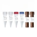 Vazyme HiScript III One Step qRT-PCR Probe Kit (Q225-EN)