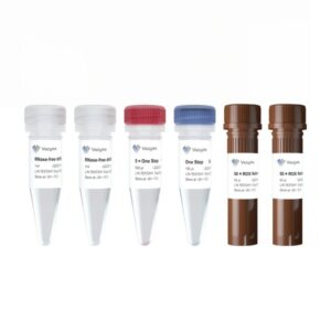 Vazyme HiScript III One Step qRT-PCR Probe Kit (Q225-EN)