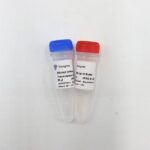 Vazyme HiScript III Reverse Transcriptase (R302-01)