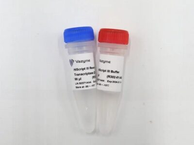 Vazyme HiScript III Reverse Transcriptase (R302-01)