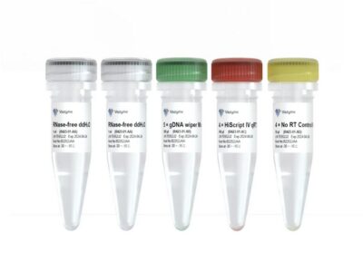 Vazyme HiScript IV RT SuperMix for qPCR (+gDNA wiper) (R423-01)