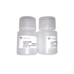 Vazyme Lysozyme (DE103)