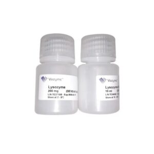 Vazyme Lysozyme (DE103)