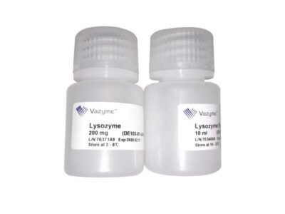 Vazyme Lysozyme (DE103)