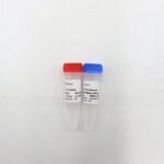 Vazyme M-MLV (H-) Reverse Transcriptase (R021-01)