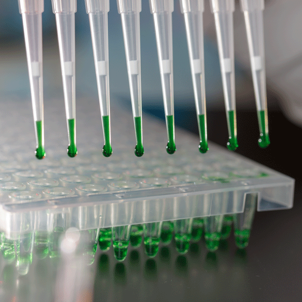 High Yield Taq DNA Polymerases: MB016-HYT Syd Labs High Yield Taq DNA Polymerases: MB016-HYT Syd Labs