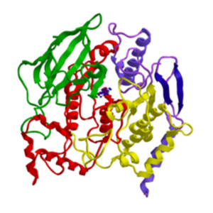 Taq DNA Polymerases: MB042-EUT Syd Labs