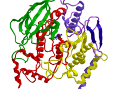 Taq DNA Polymerases: MB042-EUT Syd Labs