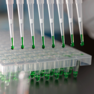 PCR Master Mixes: MB067-EQ2G Syd Labs