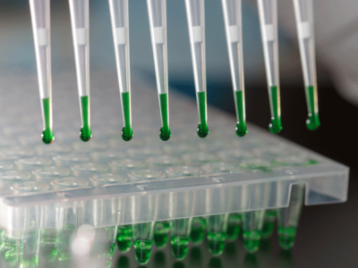 PCR Master Mixes: MB067-EQ2G Syd Labs