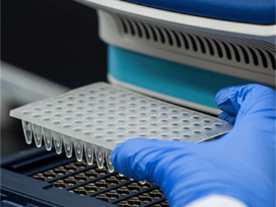 2x Long Taq PCR MasterMix (Blue Dye): MB073-PCR Syd Labs