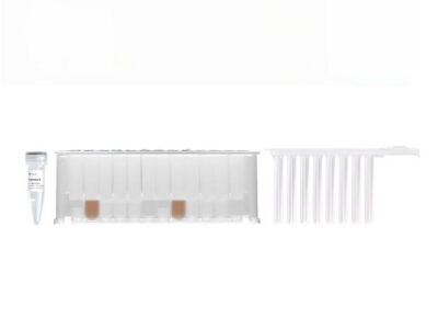 Vazyme Magnetic Blood DNA Extraction Kit (Prepackaged) (DM102)