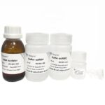 Vazyme MiPure Cell/Tissue miRNA Kit (Spin Column) (RC201-EN)
