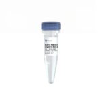Vazyme Murine RNase Inhibitor (Glycerol-free) (RL301)