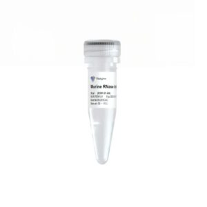 Vazyme Murine RNase Inhibitor (R301)