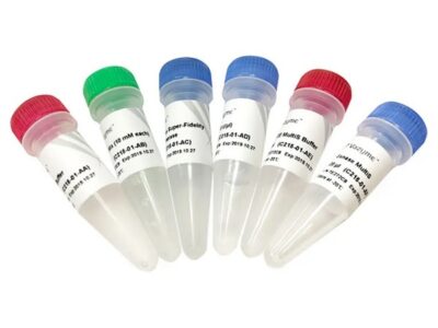 Vazyme Mut Express MultiS Fast Mutagenesis Kit V2 (C215)