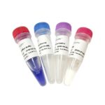 Vazyme MycoBlue Mycoplasma Detector (D101)