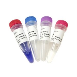 Vazyme MycoBlue Mycoplasma Detector (D101)