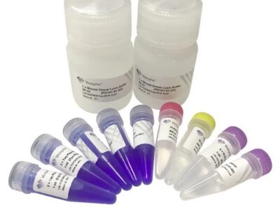 Vazyme One Step Mouse Genotyping Kit (PD101-01)