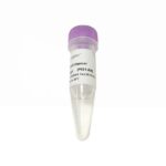 Vazyme PCR Enhancer (P021-01)