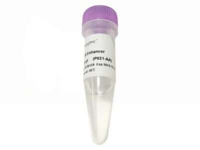 Vazyme PCR Enhancer (P021-01)