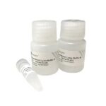 Vazyme Plant Direct PCR Kit (PD105-02)