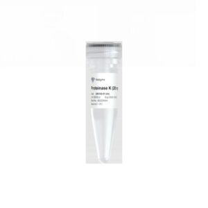 Vazyme Proteinase K (20 mg/ml) (DE102-01)