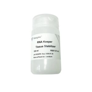 Vazyme RNA Keeper Tissue Stabilizer (R501)