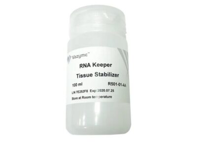 Vazyme RNA Keeper Tissue Stabilizer (R501)