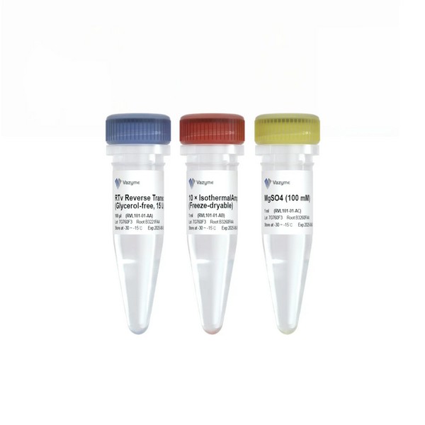 Vazyme RTv Reverse Transcriptase (Glycerol-free) (RVL101-01) Vazyme RTv Reverse Transcriptase (Glycerol-free) (RVL101-01)