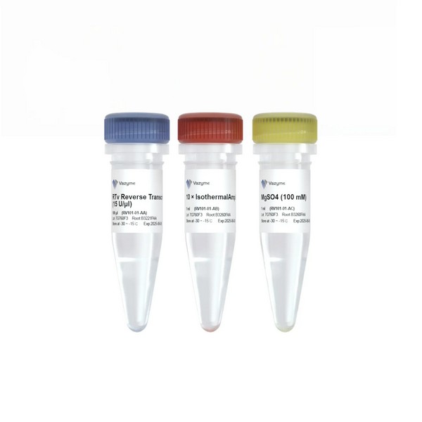 Vazyme RTv Reverse Transcriptase (RV101-01) Vazyme RTv Reverse Transcriptase (RV101-01)