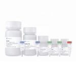 Vazyme ResiDNA Hunter Residual DNA Sample Preparation Kit (RD101-01)