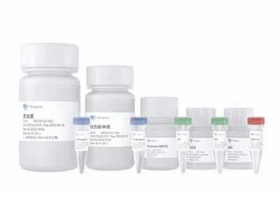 Vazyme ResiDNA Hunter Residual DNA Sample Preparation Kit (RD101-01)