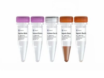 Vazyme Ribo-MagOff rRNA Depletion Kit (Human/Mouse/Rat) (N420)
