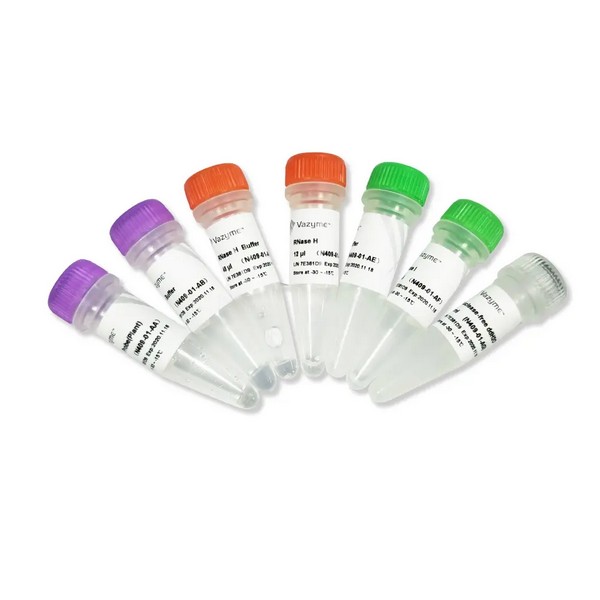 Vazyme Ribo-off rRNA Depletion Kit (Plant) (N409) Vazyme Ribo-off rRNA Depletion Kit (Plant) (N409)