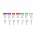 Vazyme Ribo-off rRNA Depletion Kit V2 (Bacteria) (N417)