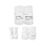 Vazyme RoomTemp Sample Lysis Kit (P073)