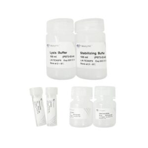 Vazyme RoomTemp Sample Lysis Kit (P073)