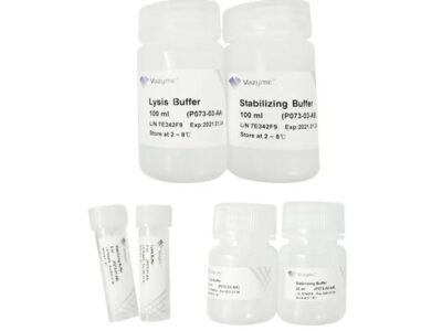 Vazyme RoomTemp Sample Lysis Kit (P073)