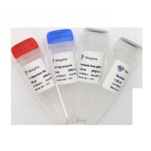 Vazyme Single Cell Sequence Specific Amplification Kit (P621-01)