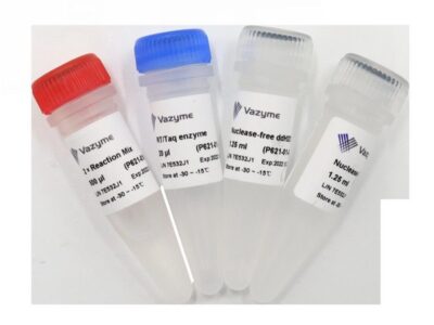 Vazyme Single Cell Sequence Specific Amplification Kit (P621-01)