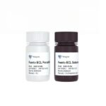 Vazyme SuperFemto ECL Chemiluminescence Kit (E423)