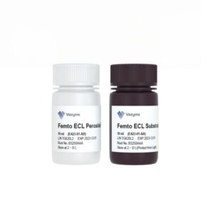 Vazyme SuperFemto ECL Chemiluminescence Kit (E423)