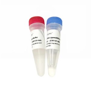 Vazyme T4 DNA Ligase (C301-01)